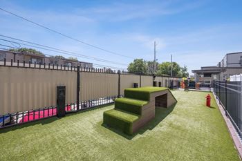 A green lawn with steps and a fence in the background